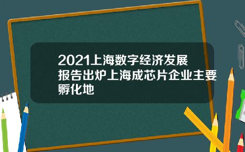2021上海数字经济发展报告出炉上海成芯片企业主要孵化地