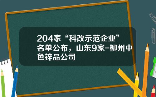 204家“科改示范企业”名单公布，山东9家-柳州中色锌品公司