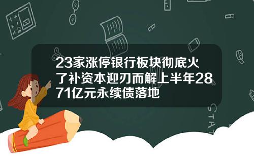 23家涨停银行板块彻底火了补资本迎刃而解上半年2871亿元永续债落地