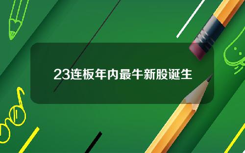 23连板年内最牛新股诞生