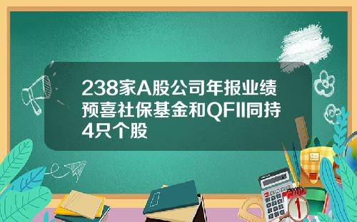 238家A股公司年报业绩预喜社保基金和QFII同持4只个股