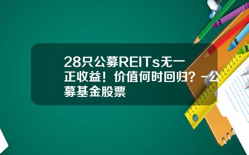 28只公募REITs无一正收益！价值何时回归？-公募基金股票