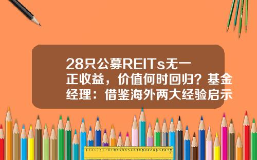 28只公募REITs无一正收益，价值何时回归？基金经理：借鉴海外两大经验启示！-信托基金收益