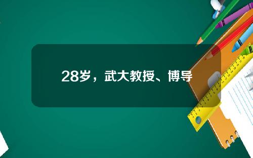 28岁,武大教授、博导