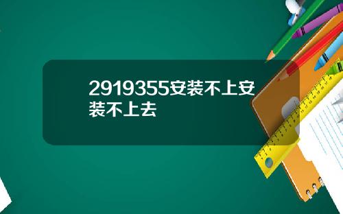 2919355安装不上安装不上去