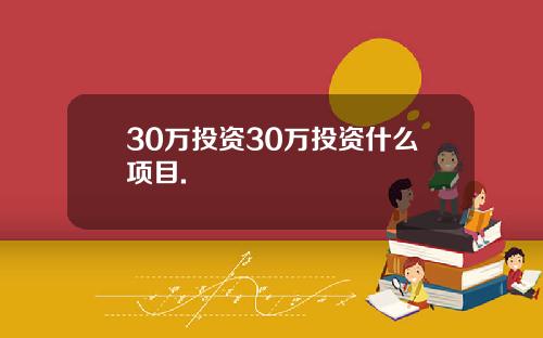 30万投资30万投资什么项目.