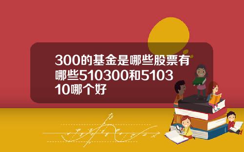 300的基金是哪些股票有哪些510300和510310哪个好