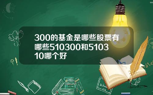 300的基金是哪些股票有哪些510300和510310哪个好