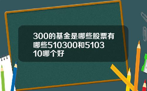 300的基金是哪些股票有哪些510300和510310哪个好