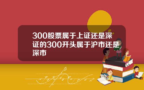 300股票属于上证还是深证的300开头属于沪市还是深市