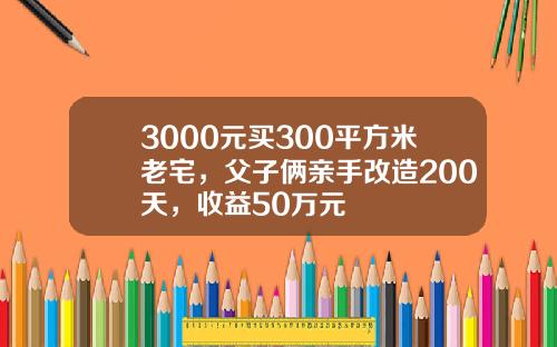 3000元买300平方米老宅，父子俩亲手改造200天，收益50万元