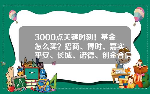 3000点关键时刻！基金怎么买？招商、博时、嘉实、平安、长城、诺德、创金合信七家基金专业买手最新研判-哪里买基金好