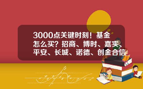 3000点关键时刻！基金怎么买？招商、博时、嘉实、平安、长城、诺德、创金合信七家基金专业买手最新研判-如何选择定投的基金