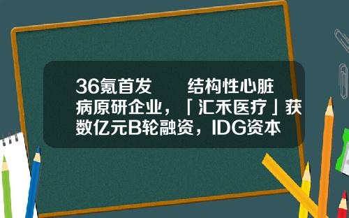 36氪首发​​结构性心脏病原研企业，「汇禾医疗」获数亿元B轮融资，IDG资本领投-汇禾医疗资讯股票代码