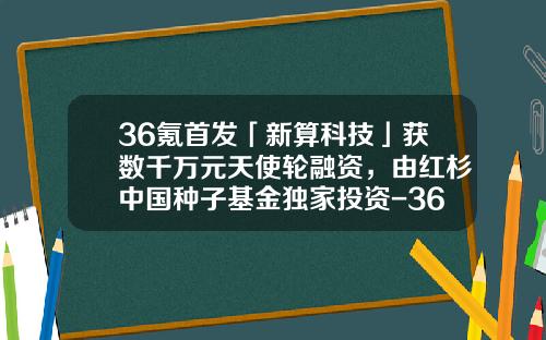 36氪首发「新算科技」获数千万元天使轮融资，由红杉中国种子基金独家投资-36氪基金
