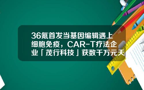 36氪首发当基因编辑遇上细胞免疫，CAR-T疗法企业「茂行科技」获数千万元天使+轮融资-海邦基金