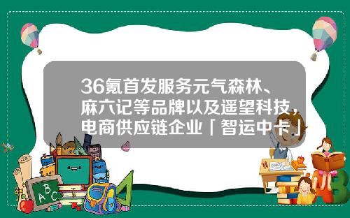 36氪首发服务元气森林、麻六记等品牌以及遥望科技，电商供应链企业「智运中卡」获数千万元A轮融资-国美安迅物流有限公司