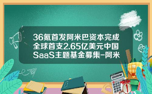 36氪首发阿米巴资本完成全球首支2.65亿美元中国SaaS主题基金募集-阿米巴基金