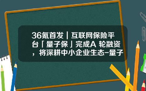 36氪首发｜互联网保险平台「量子保」完成A+轮融资，将深耕中小企业生态-量子贷收益是多少