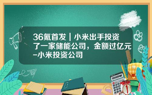 36氪首发｜小米出手投资了一家储能公司，金额过亿元-小米投资公司