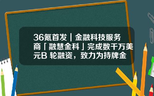 36氪首发｜金融科技服务商「融慧金科」完成数千万美元B+轮融资，致力为持牌金融机构打造“白盒服务”-融慧集团年销售额多少