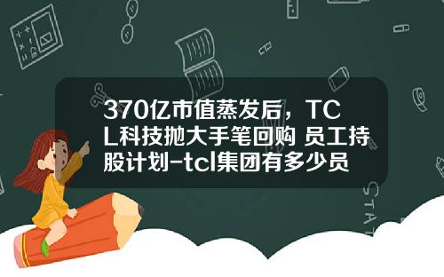 370亿市值蒸发后，TCL科技抛大手笔回购+员工持股计划-tcl集团有多少员工