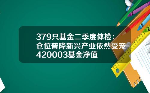 379只基金二季度体检：仓位普降新兴产业依然受宠-420003基金净值