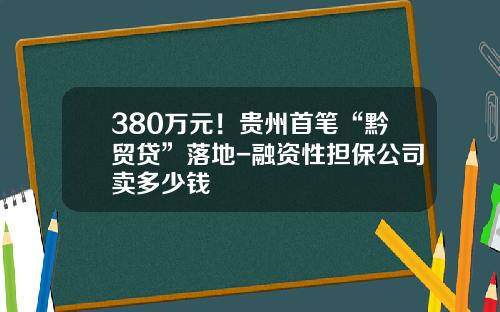 380万元！贵州首笔“黔贸贷”落地-融资性担保公司卖多少钱