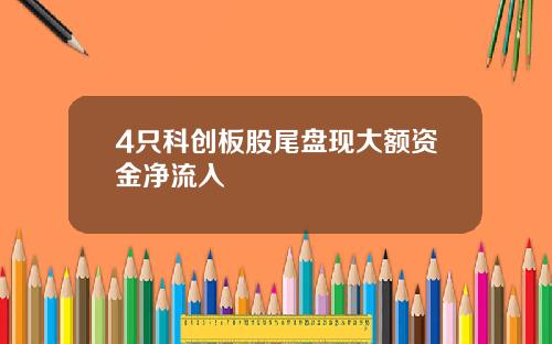 4只科创板股尾盘现大额资金净流入
