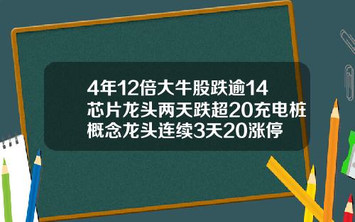 4年12倍大牛股跌逾14芯片龙头两天跌超20充电桩概念龙头连续3天20涨停