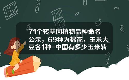 71个转基因植物品种命名公示，69种为棉花，玉米大豆各1种-中国有多少玉米转基因品种
