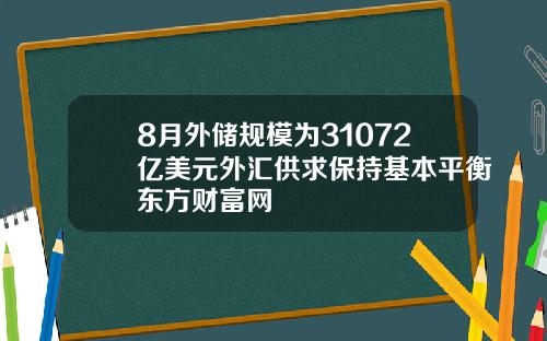 8月外储规模为31072亿美元外汇供求保持基本平衡东方财富网