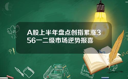 A股上半年盘点创指累涨356一二级市场逆势报喜