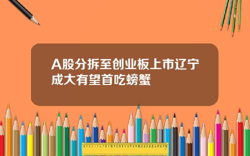 A股分拆至创业板上市辽宁成大有望首吃螃蟹