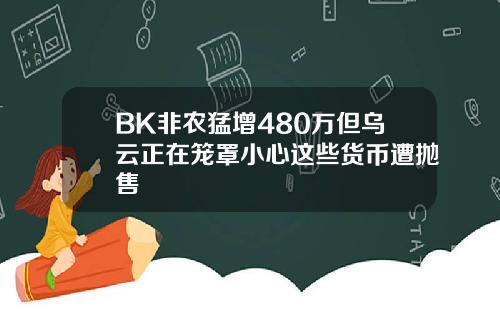 BK非农猛增480万但乌云正在笼罩小心这些货币遭抛售