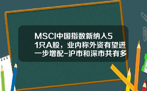 MSCI中国指数新纳入51只A股，业内称外资有望进一步增配-沪市和深市共有多少支股票