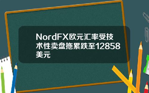 NordFX欧元汇率受技术性卖盘拖累跌至12858美元