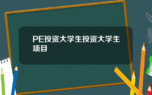 PE投资大学生投资大学生项目