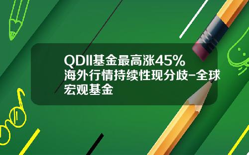 QDII基金最高涨45%海外行情持续性现分歧-全球宏观基金