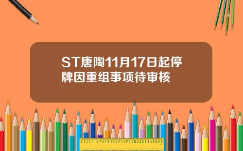 ST唐陶11月17日起停牌因重组事项待审核