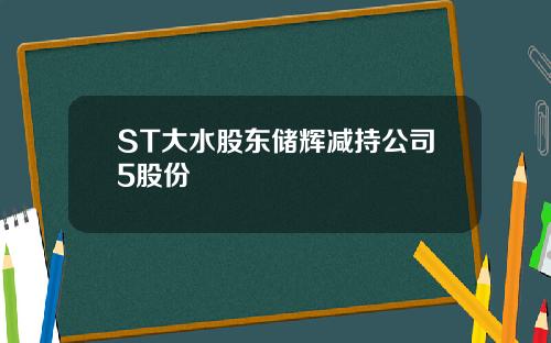 ST大水股东储辉减持公司5股份