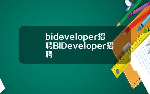bideveloper招聘BIDeveloper招聘