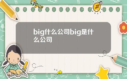 big什么公司big是什么公司