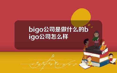 bigo公司是做什么的bigo公司怎么样