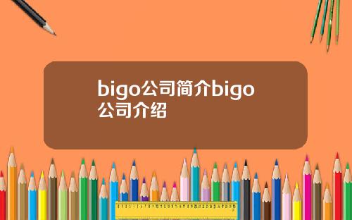 bigo公司简介bigo公司介绍