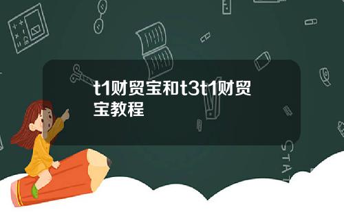 t1财贸宝和t3t1财贸宝教程