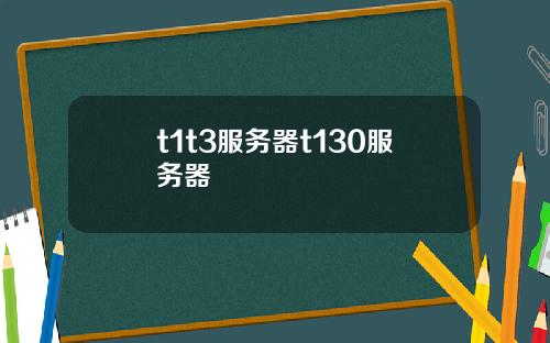 t1t3服务器t130服务器
