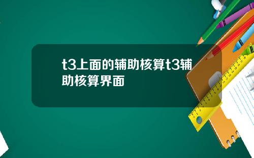t3上面的辅助核算t3辅助核算界面