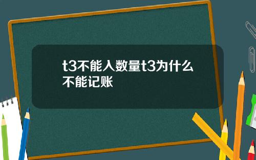 t3不能入数量t3为什么不能记账