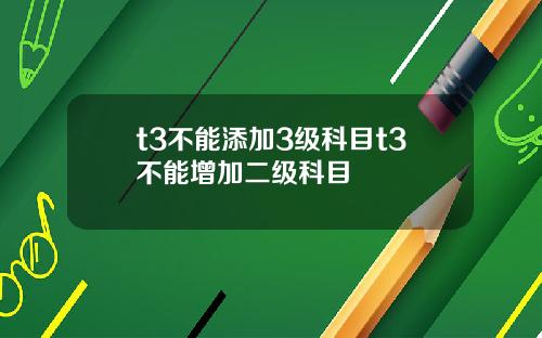 t3不能添加3级科目t3不能增加二级科目